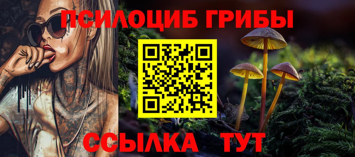 Галлюциногенные грибы GOLDEN TEACHER Ирбит