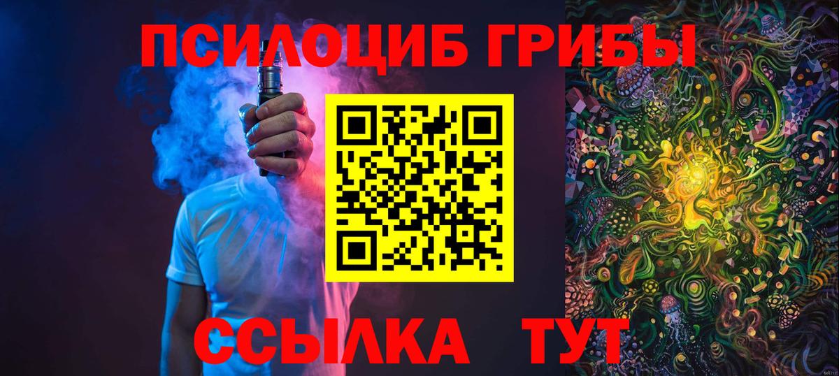 Ирбит  Псилоцибиновые грибы MAGIC MUSHROOMS  Вход с VPN  Псилоцибиновые грибы Cubensis 